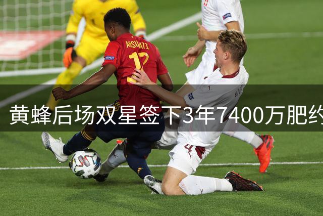 黄蜂后场双星签下3年7400万肥约，深度解析默契配合战术